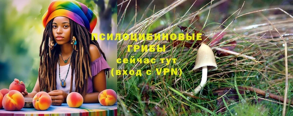 гидропоника Алексин