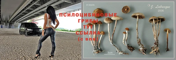 гидропоника Алексин